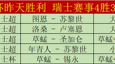 2025年世界杯瑞士队阵容正式公布